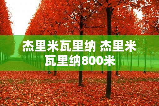 杰里米瓦里纳 杰里米瓦里纳800米