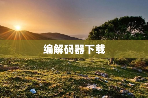 编解码器下载：如何选择最适合你的编解码器？
