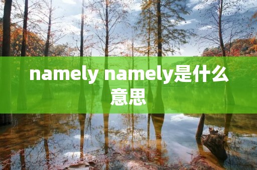 namely namely是什么意思