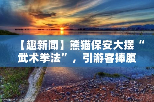 【趣新闻】熊猫保安大摆“武术拳法”，引游客捧腹大笑