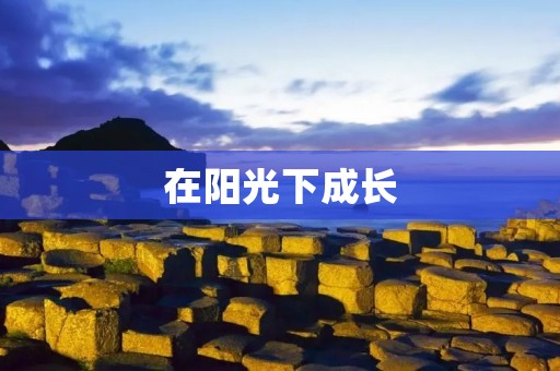 在阳光下成长:一场人生的旅程 在阳光下成长:一场人生的旅程