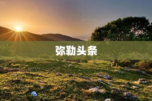 弥勒头条：连接你与世界的智慧之门