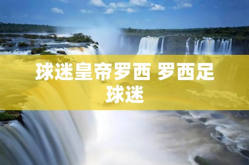 球迷皇帝罗西 罗西足球迷