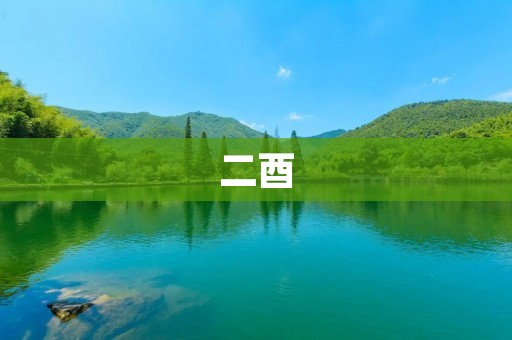 二酉：中华传统文化中的珍贵遗产