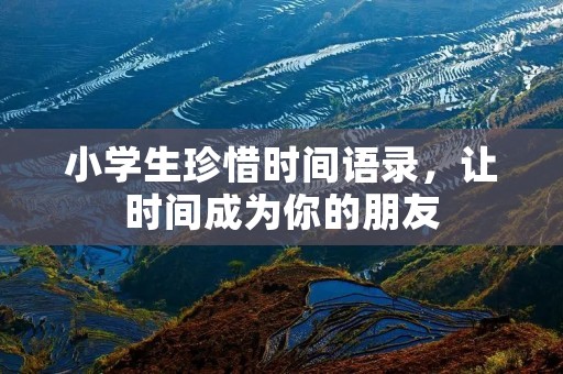 小学生珍惜时间语录,让时间成为你的朋友 小学生珍惜时间语录,让时间成为你的朋友