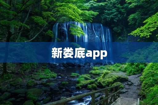 新娄底app：打造智慧生活新篇章