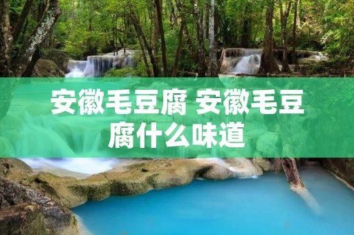 安徽毛豆腐 安徽毛豆腐什么味道