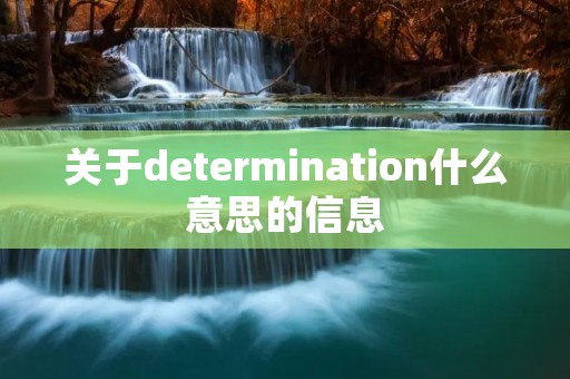 关于determination什么意思的信息