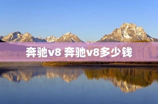 奔驰v8 奔驰v8多少钱