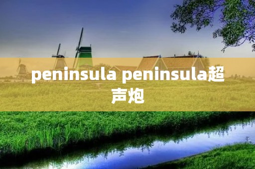 peninsula peninsula超声炮