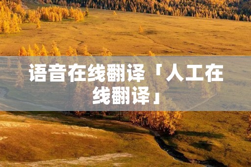 语音在线翻译「人工在线翻译」