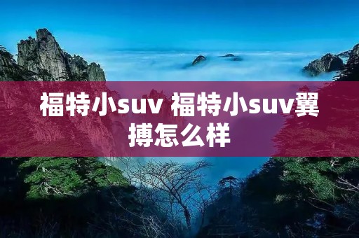 福特小suv 福特小suv翼搏怎么样 福特小suv 福特小suv翼搏怎么样