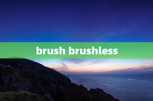 brush brushless
