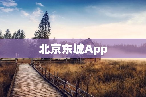 北京东城App：畅享城市生活的智慧引擎