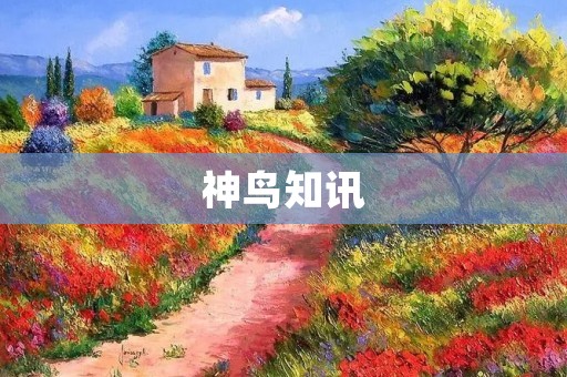 神鸟知讯:为你带来最新的科技资讯和创新突破 神鸟知讯:为你带来最新的科技资讯和创新突破