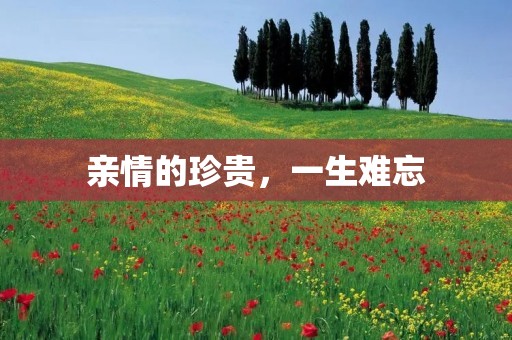 亲情的珍贵,一生难忘:关于亲情的名言警句