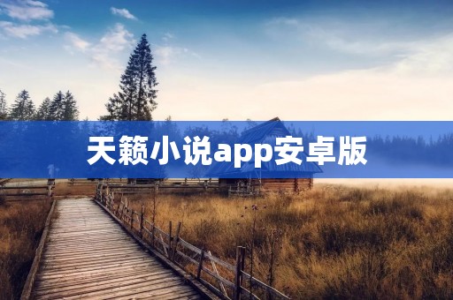 天籁小说app安卓版:畅享精彩小说阅读体验 天籁小说app安卓版:畅享精彩小说阅读体验