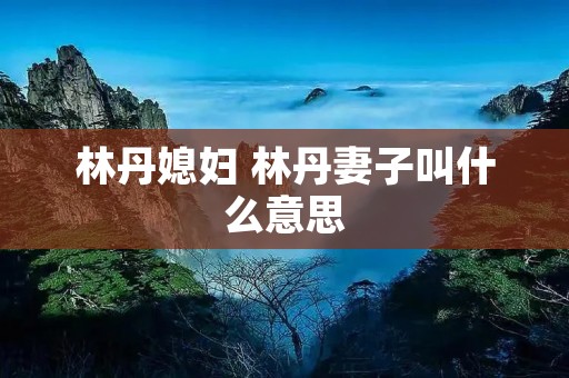 林丹媳妇 林丹妻子叫什么意思