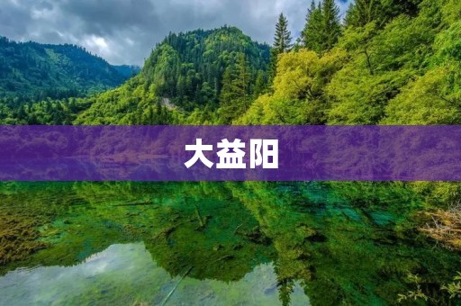 大益阳：湖南的文化瑰宝