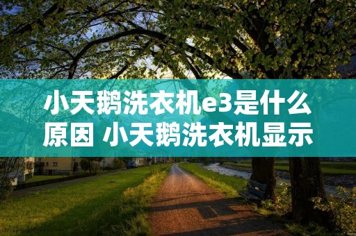 小天鹅洗衣机e3是什么原因 小天鹅洗衣机显示e3是什么问题 小天鹅洗衣机e3是什么原因 小天鹅洗衣机显示e3是什么问题