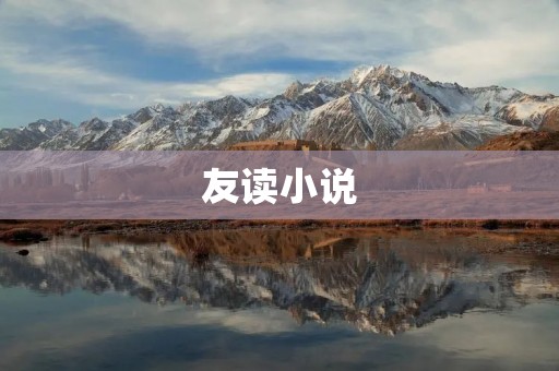 友读小说：开启阅读与分享的全新体验