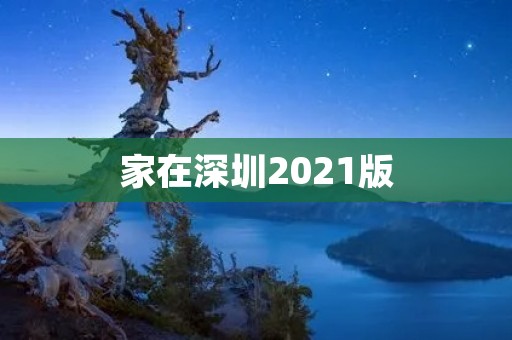 家在深圳2021版：繁荣与挑战并存的城市生活