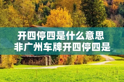 开四停四是什么意思 非广州车牌开四停四是什么意思