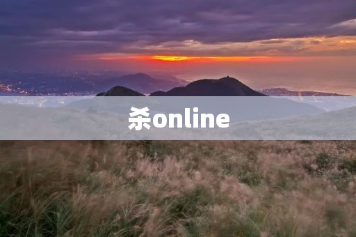 杀online:网络游戏中的暴力行为 杀online:网络游戏中的暴力行为