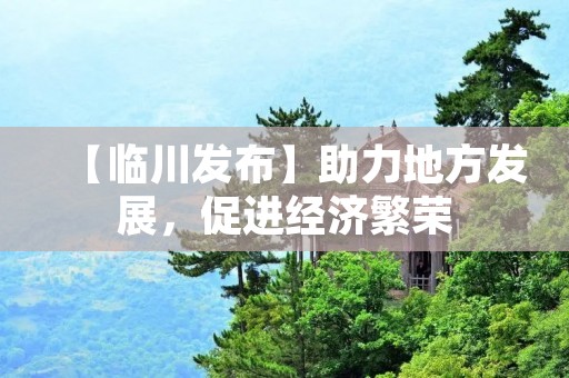 【临川发布】助力地方发展，促进经济繁荣