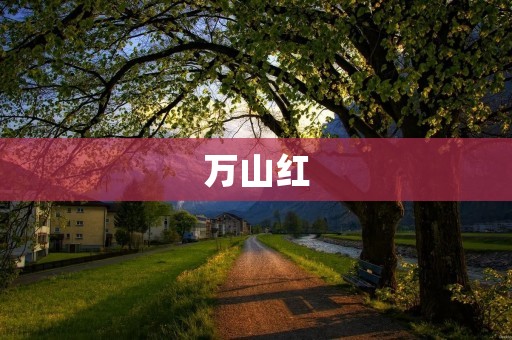 万山红：神奇的中草药