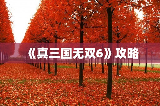 《真三国无双6》攻略：打造最强武将，征服三国战场