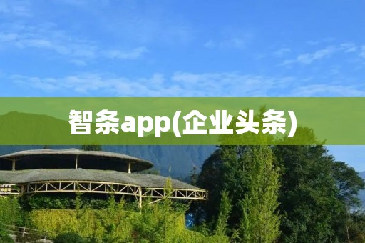 智条app(企业头条)：企业资讯一触即达