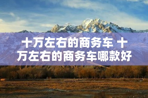 十万左右的商务车 十万左右的商务车哪款好