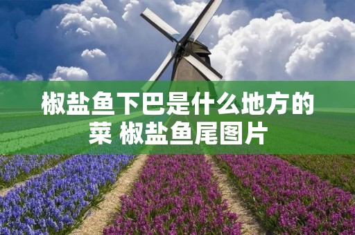 椒盐鱼下巴是什么地方的菜 椒盐鱼尾图片 椒盐鱼下巴是什么地方的菜 椒盐鱼尾图片