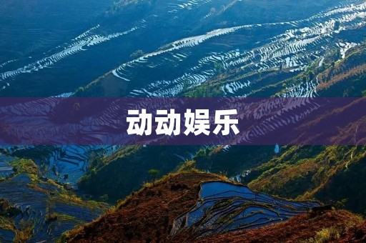 动动娱乐:让你动起来的全新娱乐体验 动动娱乐:让你动起来的全新娱乐体验