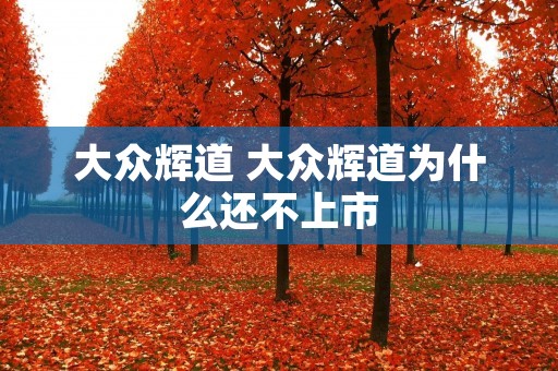 大众辉道 大众辉道为什么还不上市 大众辉道 大众辉道为什么还不上市