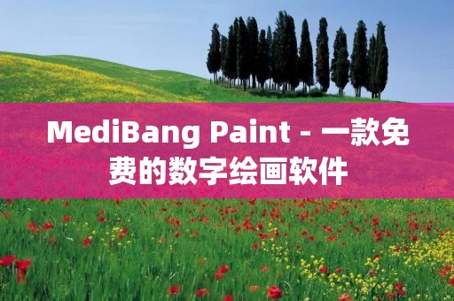 MediBang Paint - 一款免费的数字绘画软件