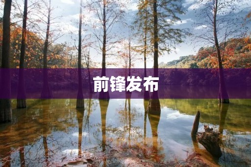 前锋发布:引领时尚潮流,展现前沿力量 前锋发布:引领时尚潮流,展现前沿力量