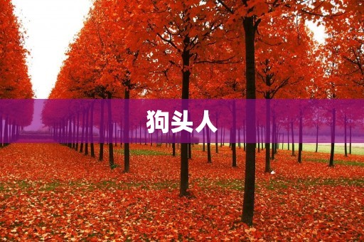 狗头人：可爱与幽默的奇妙生物