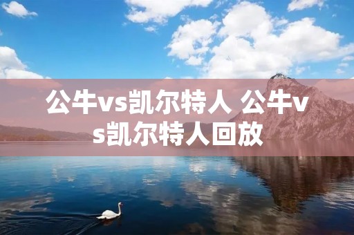 公牛vs凯尔特人 公牛vs凯尔特人回放