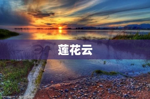 莲花云：一场令人迷醉的自然奇迹