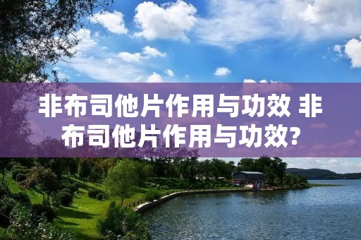 非布司他片作用与功效 非布司他片作用与功效?