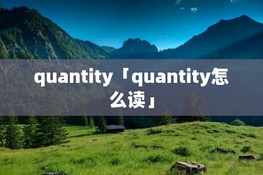 quantity「quantity怎么读」