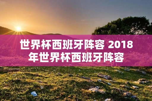 世界杯西班牙阵容 2018年世界杯西班牙阵容 世界杯西班牙阵容 2018年世界杯西班牙阵容