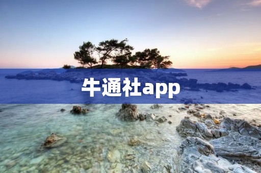 牛通社app：连接你与金融市场的智慧之桥