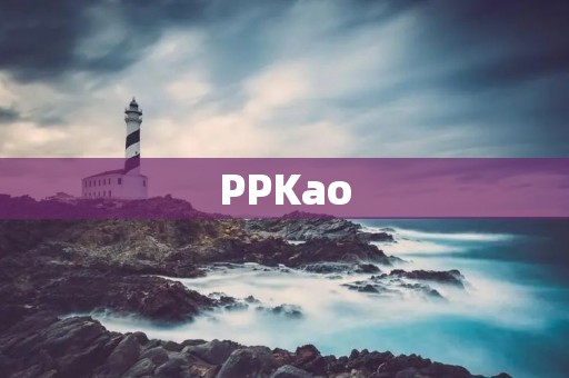PPKao：专业的在线考试培训平台