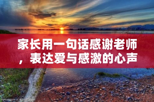 家长用一句话感谢老师，表达爱与感激的心声