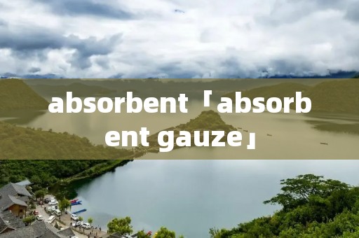 absorbent「absorbent gauze」