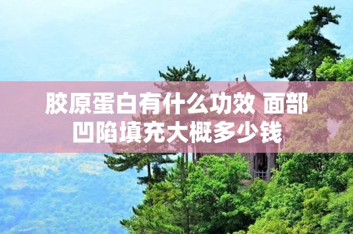 胶原蛋白有什么功效 面部凹陷填充大概多少钱