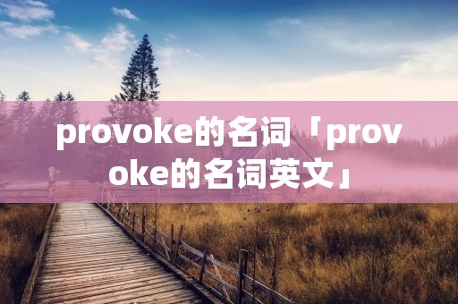 provoke的名词「provoke的名词英文」